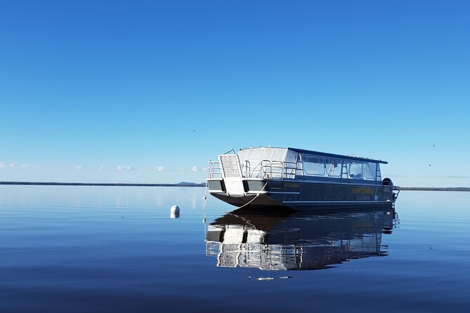 Everglades Explorer - Noosa Everglades Tour - Commentary that adds meaning to a quiet place