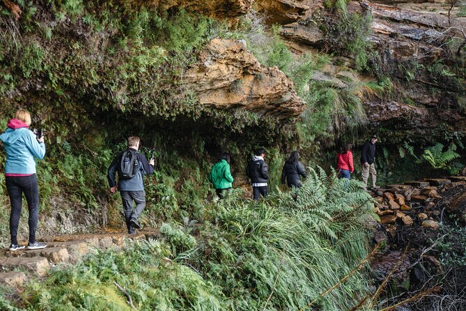 Exclusive Blue Mountains Wildlife and Bushwalk Tour From Sydney - Why this tour works for a one-day Sydney escape