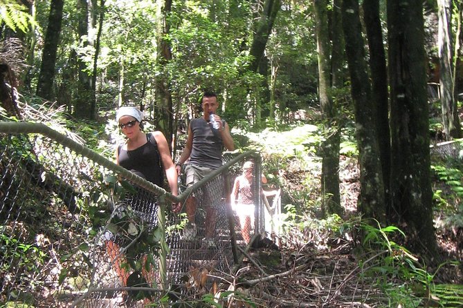 Exclusive Blue Mountains Wildlife and Bushwalk Tour From Sydney - Wentworth Falls and the bushwalk