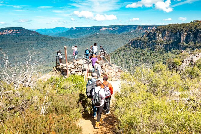 Exclusive Blue Mountains Wildlife and Bushwalk Tour From Sydney - Weather, crowds, and the guide’s role