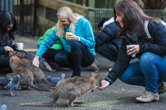Exclusive Blue Mountains Wildlife and Bushwalk Tour From Sydney - Featherdale Wildlife Park: your best chance to meet native animals