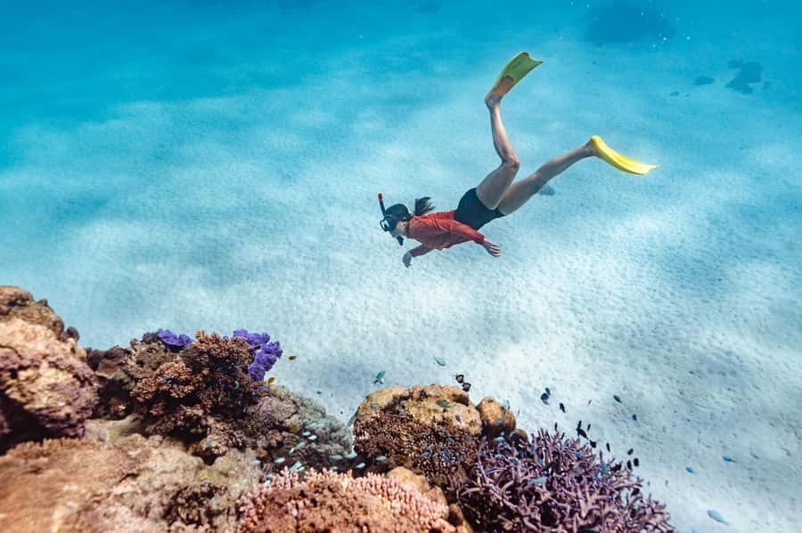 Exmouth: Guided Ningaloo Reef Snorkel Adventure - Key points to know before booking