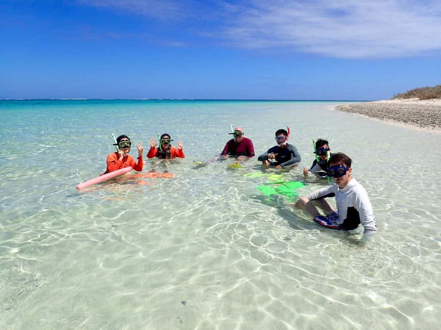 Exmouth: Guided Ningaloo Reef Snorkel Adventure - Who should book this Ningaloo snorkel day
