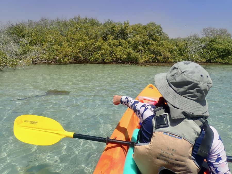 Exmouth: Half Day Turtle Kayak & Snorkel Tour - Key points at a glance