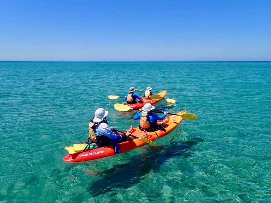 Exmouth: Half Day Turtle Kayak & Snorkel Tour - Why kayak Ningaloo Reef instead of taking a larger boat?