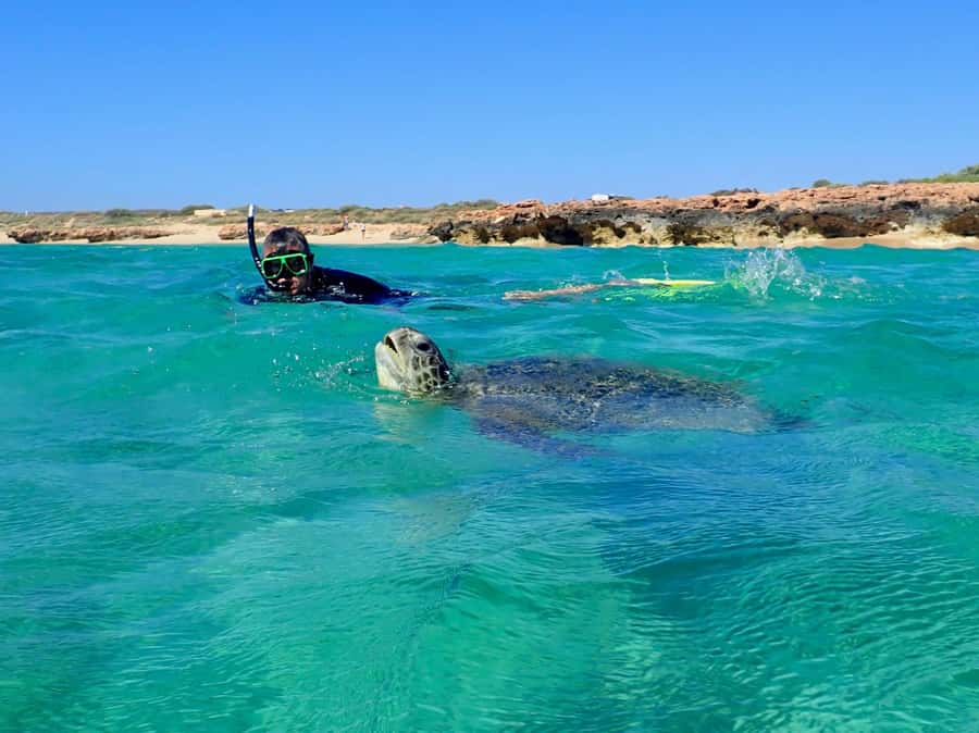 Exmouth: Half Day Turtle Kayak & Snorkel Tour - Getting fitted out for a three-hour water session