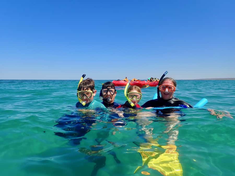 Exmouth: Half Day Turtle Kayak & Snorkel Tour - A beach break, snacks, and the paddle home