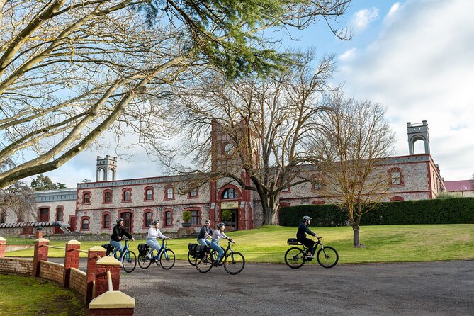 Experience Barossa Valley by E-bike - Six wines and rarities at Artisans of Barossa