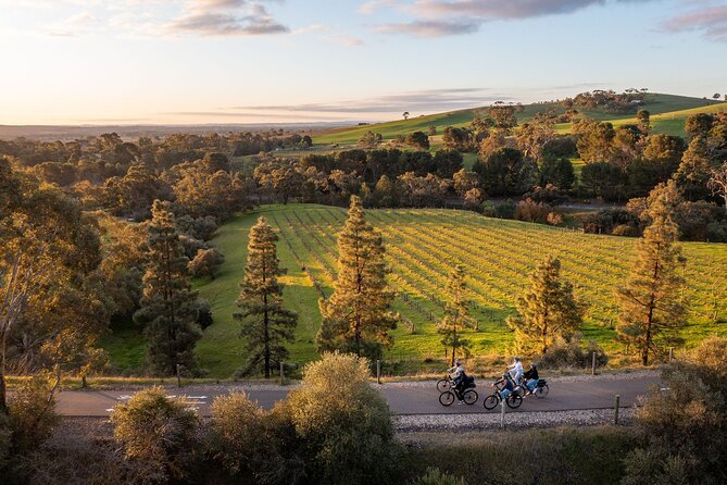 Experience Barossa Valley by E-bike - Guides, group size, and the feel of the day