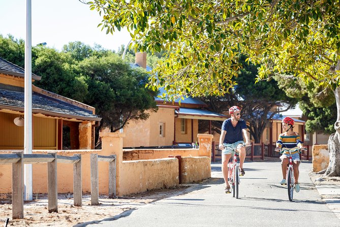 Experience Rottnest with Ferry & Bike Hire - Finding quokkas without chasing them