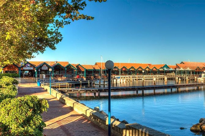 Experience Rottnest with Ferry & Bike Hire - How much value you get for $86.43