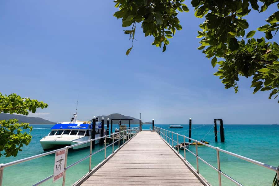 Fitzroy Island: Full-Day Ferry & Snorkel Safari Guided Tour - Key points to know before you book