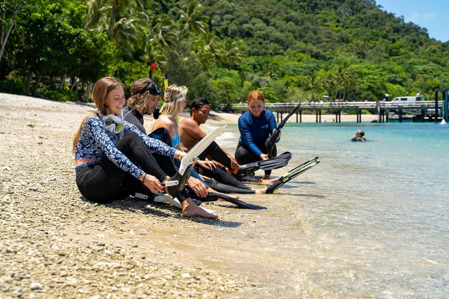 Fitzroy Island: Full-Day Ferry & Snorkel Safari Guided Tour - Five hours for beaches, trails, and lunch