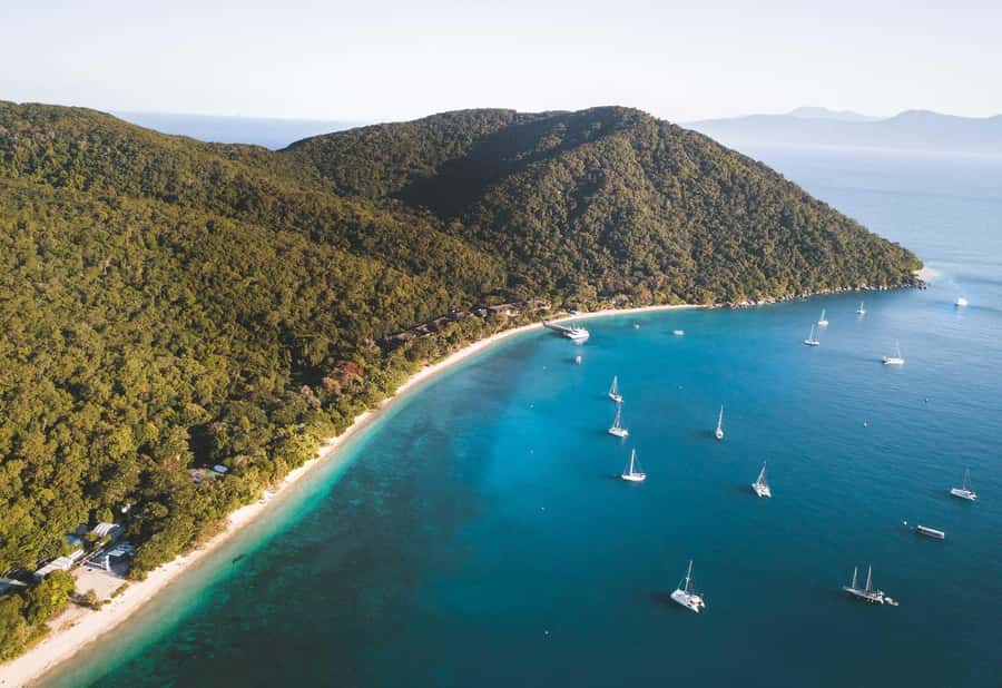 Fitzroy Island: Full-Day Ferry & Snorkel Safari Guided Tour - The 8:00 AM ferry from Cairns