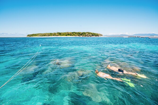 Fitzroy Island Transfers and Tours from Cairns - Lunch, drinks, and what to bring