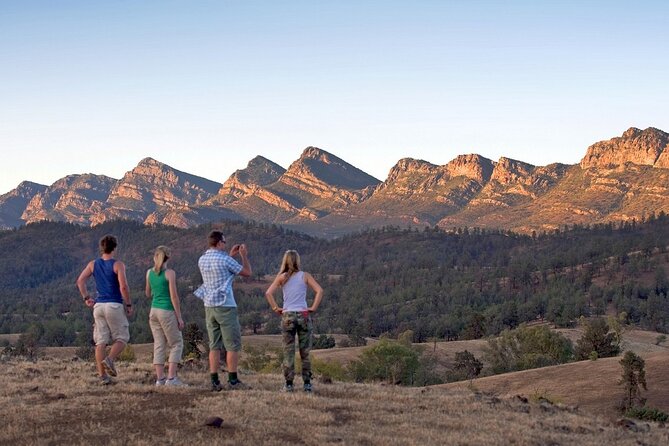 Flinders Ranges 3-Day Small Group 4WD Eco Tour from Adelaide - The optional flight over Wilpena Pound