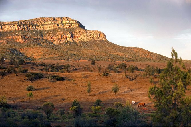 Flinders Ranges 3-Day Small Group 4WD Eco Tour from Adelaide - Accommodation, meals, and what the price covers