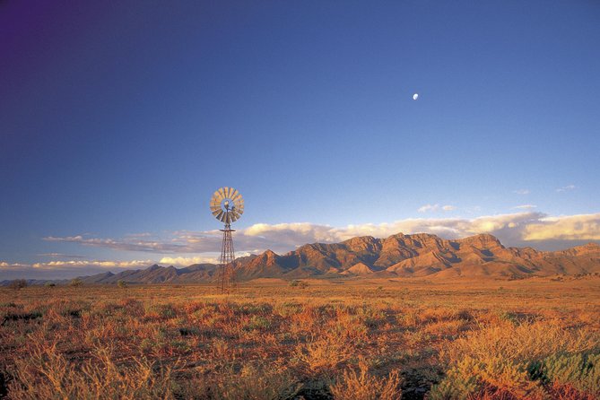 Flinders Ranges 3-Day Small Group 4WD Eco Tour from Adelaide - Wildlife, fossils, and Aboriginal stories