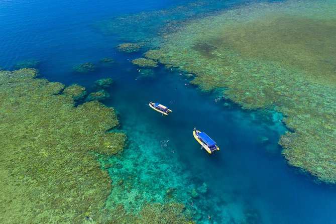 Fly Raft Package: Whitehaven Beach, Snorkel and Scenic Flight - Whitehaven Beach, lunch, and time in the sand