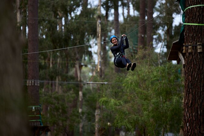 Forest Adventures - Forest Adventures at a glance