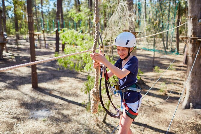 Forest Adventures - Is $42.32 good value?