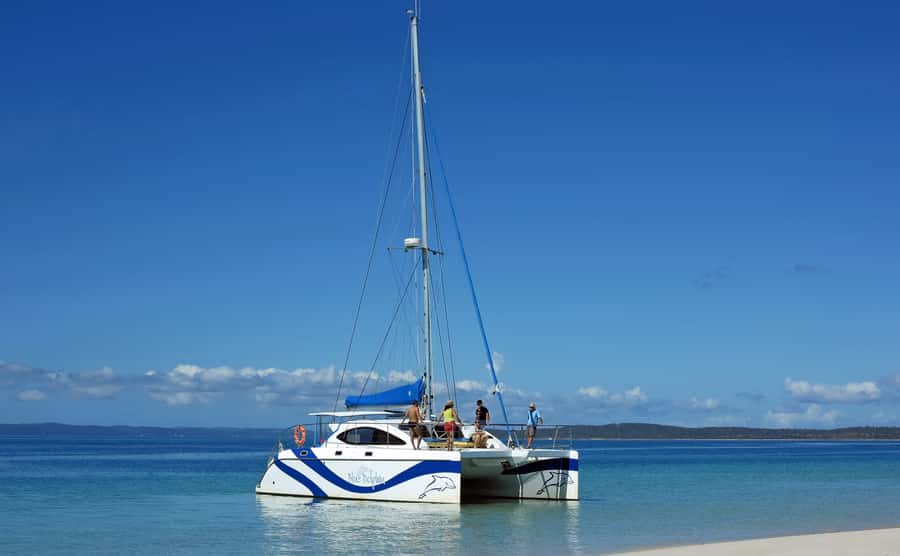 Fraser Island 4-Hour Eco-Sailing Adventure - A four-hour cruise through the Great Sandy Strait