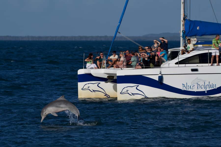 Fraser Island 4-Hour Eco-Sailing Adventure - Food, shade, and the small comforts that matter