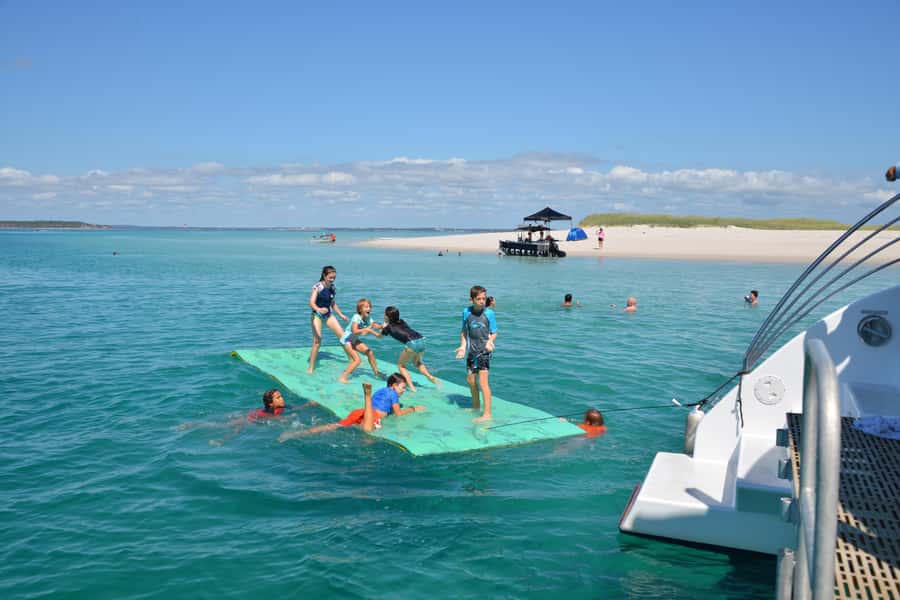 Fraser Island 4-Hour Eco-Sailing Adventure - Should you book the Blue Dolphin Marine Tours cruise?