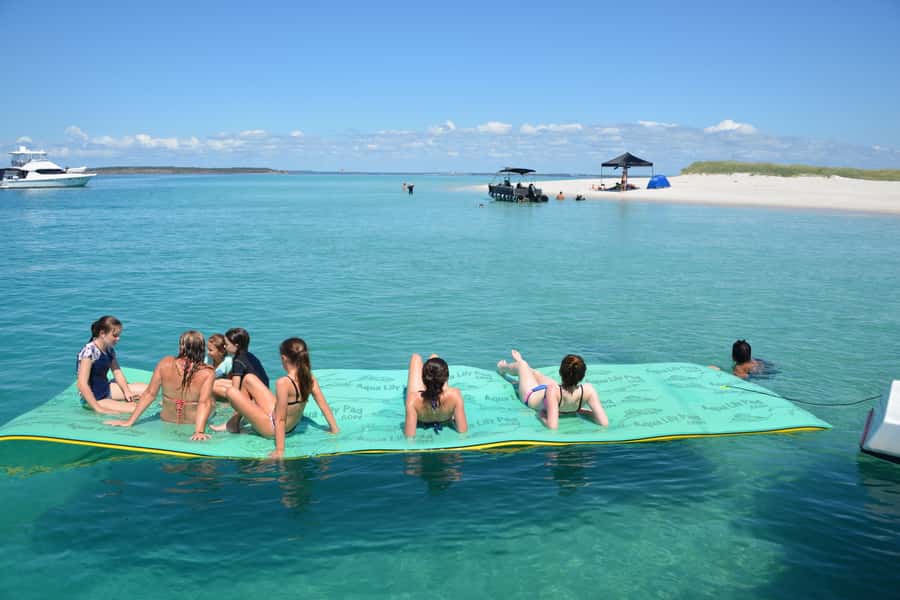 Fraser Island 4-Hour Eco-Sailing Adventure - Searching for dolphins, dugongs, turtles, and whales