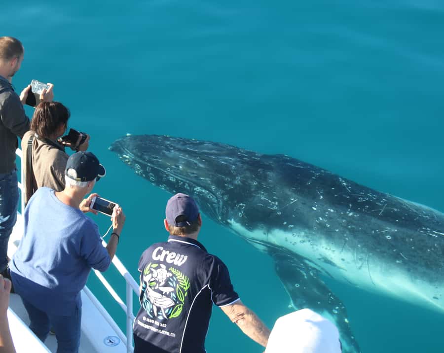 Fraser Island (K'gari): Remote Island and Whale Experience - Weather, cancellations, and practical planning