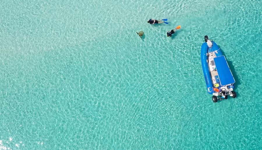 Fraser Island (K'gari): Remote Island and Whale Experience - The whale encounter is the days great unknown