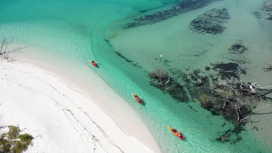 Fraser Island (K'gari): Remote Island and Whale Experience - How active is the nine-hour day?
