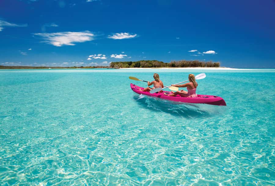 Fraser Island (K'gari): Remote Island and Whale Experience - A fast catamaran across the Great Sandy Strait