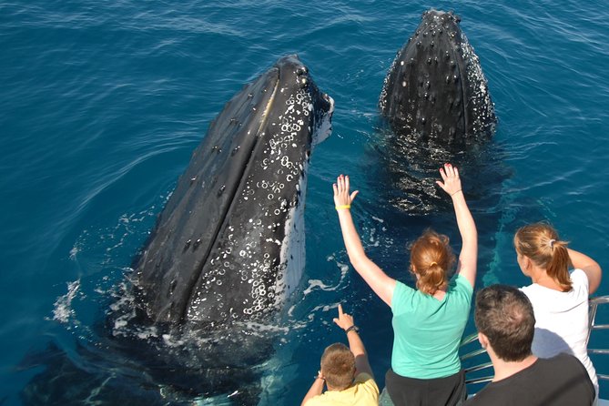 Fraser Island Whale Watch Encounter - A full day from Hervey Bay to Platypus Bay
