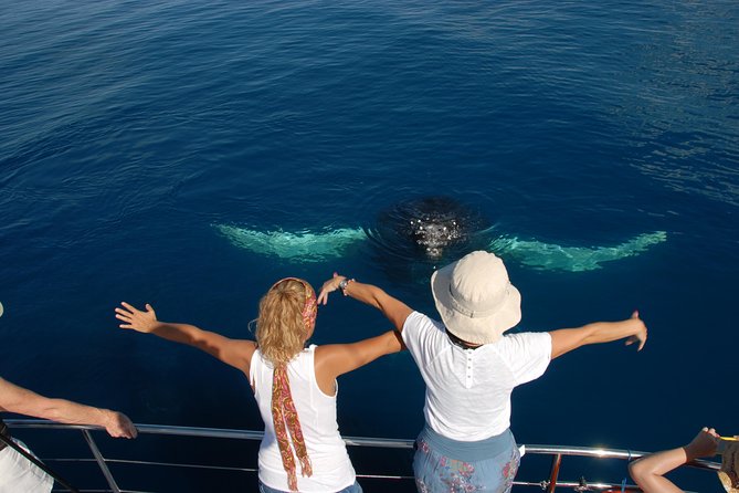 Fraser Island Whale Watch Encounter - Lunch, tea, and time to reset