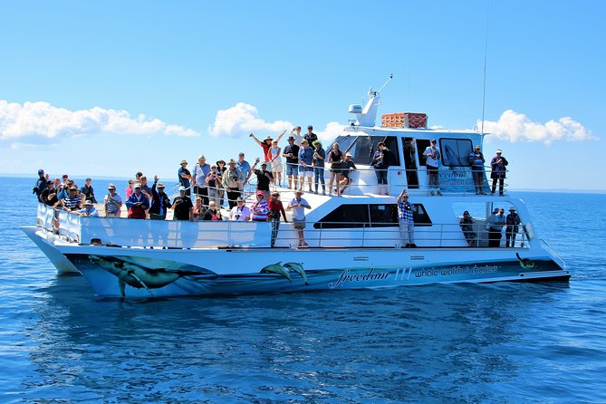 Freedom 3/4 Day Hervey Bay Premium Whale Watching Cruise - Why six hours works in Platypus Bay