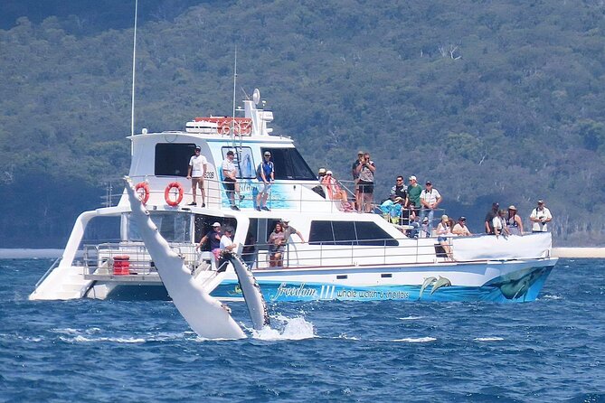 Freedom 3/4 Day Hervey Bay Premium Whale Watching Cruise - Morning tea helps settle you into the day