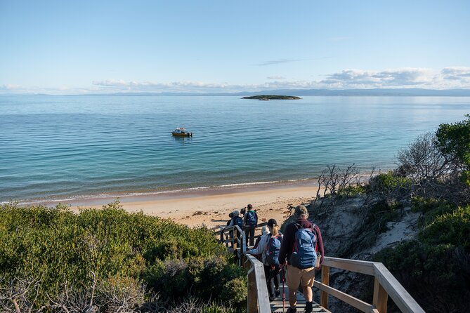 Freycinet Walking Tour - Hazards Beach, picnic lunch, and a slower pause