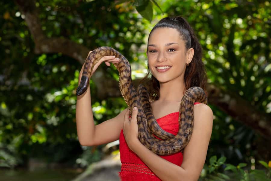 Friends in the Rainforest Package: Koala Gardens & Birdworld - Two Kuranda wildlife stops for the price of one