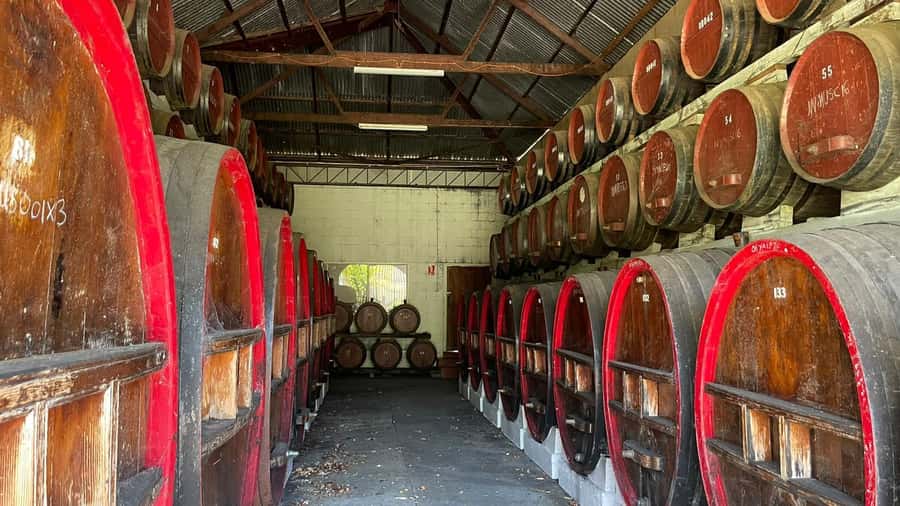 From Adelaide: Barossa to Hahndorf Wine Tasting and Lunch - Kies Family Wines and the included lunch