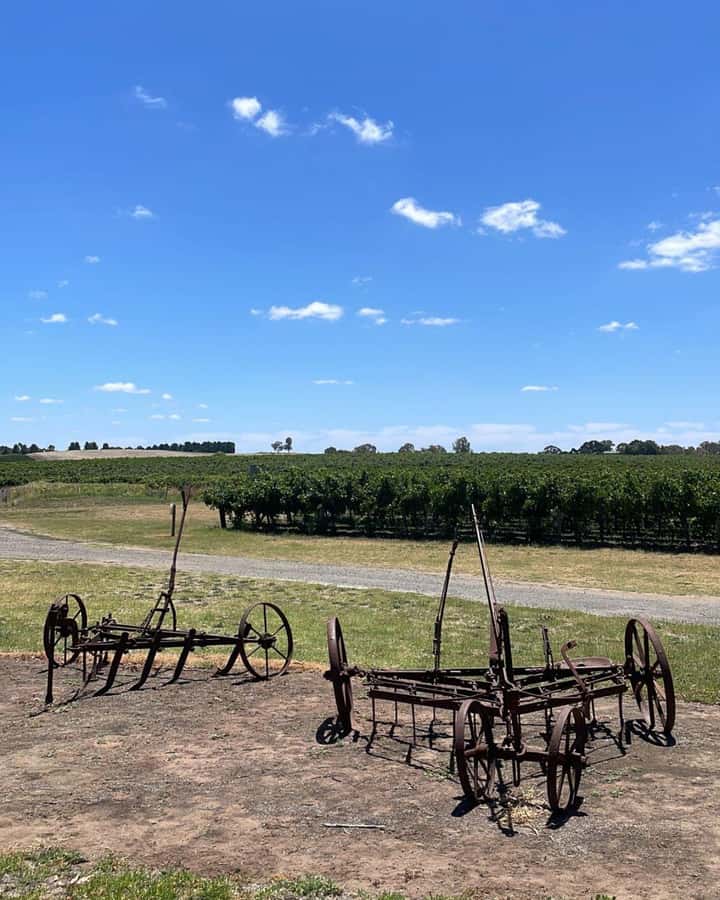From Adelaide: Barossa to Hahndorf Wine Tasting and Lunch - What the $114 price includes