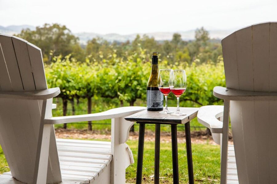 From Adelaide or Barossa: Boutique Barossa Valley Wine Tour - Guides who make the day more than a transfer