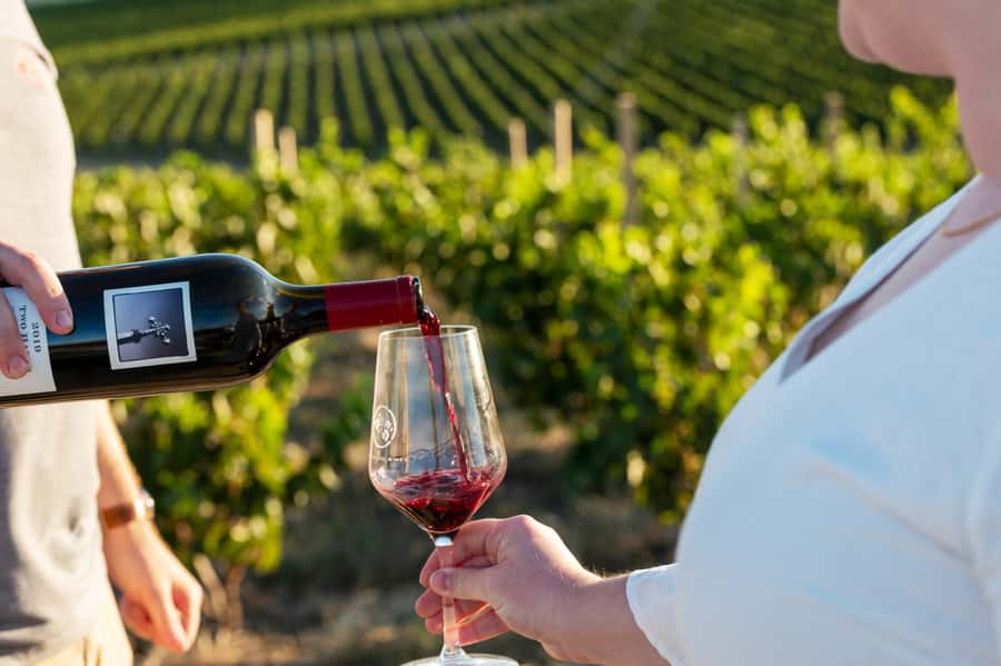 From Adelaide or Barossa: Boutique Barossa Valley Wine Tour - The 75-minute journey from Adelaide to the vines