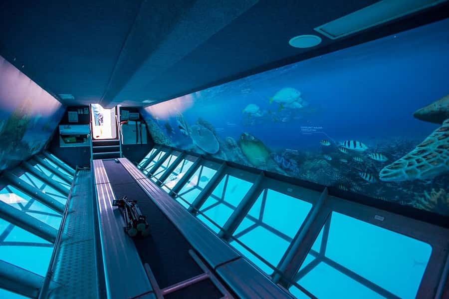 From Airlie Beach: Great Barrier Reef Adventure Cruise - Should you book it?