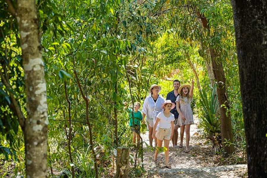 From Airlie: Whitsundays and Whitehaven Half-Day Cruise - The Southern Whitehaven Lookout walk