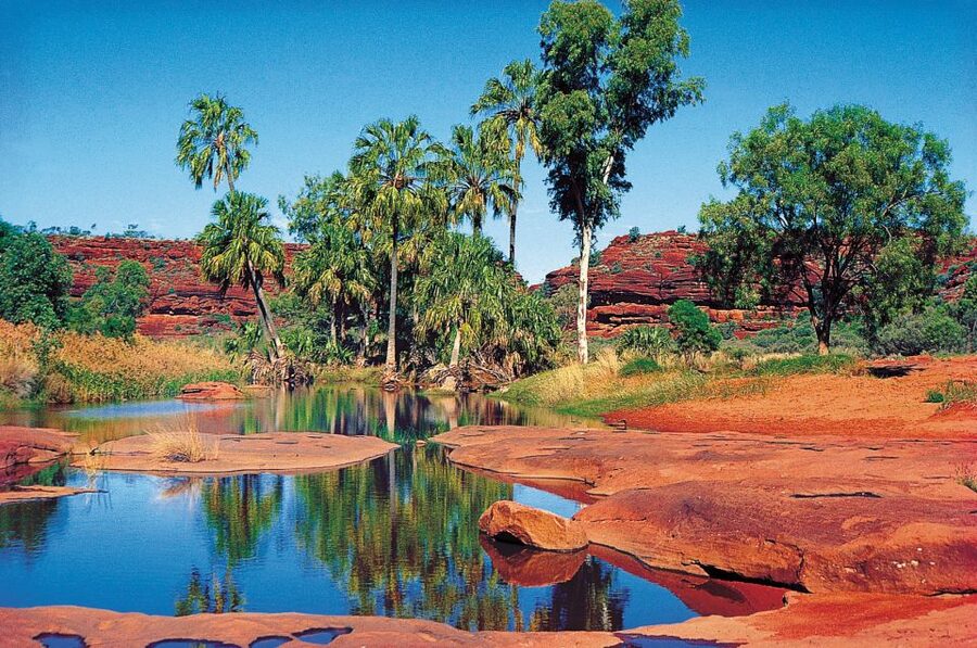 From Alice Springs: Palm Valley 4WD Outback Safari + Picnic - Why Palm Valley is worth a long day from Alice Springs