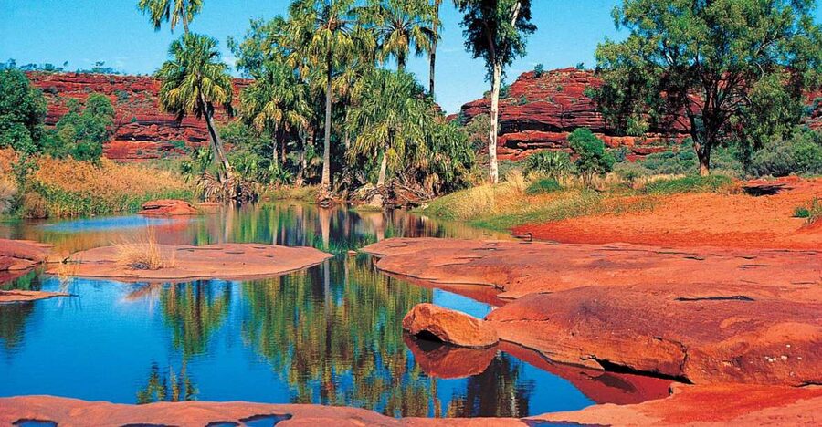 From Alice Springs: Palm Valley 4WD Outback Safari + Picnic - Riding the Finke River’s dry bed