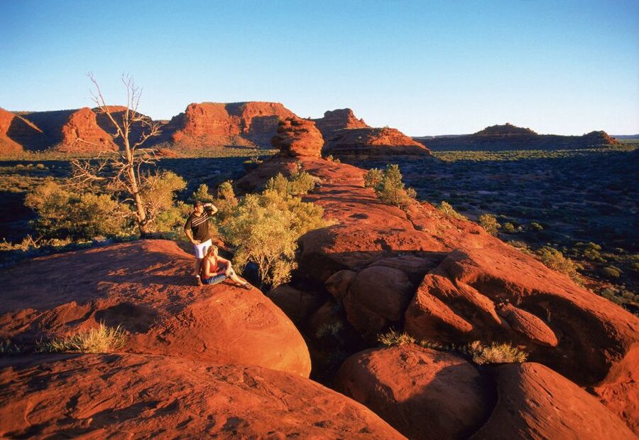 From Alice Springs: Palm Valley 4WD Outback Safari + Picnic - A picnic in Finke Gorge National Park