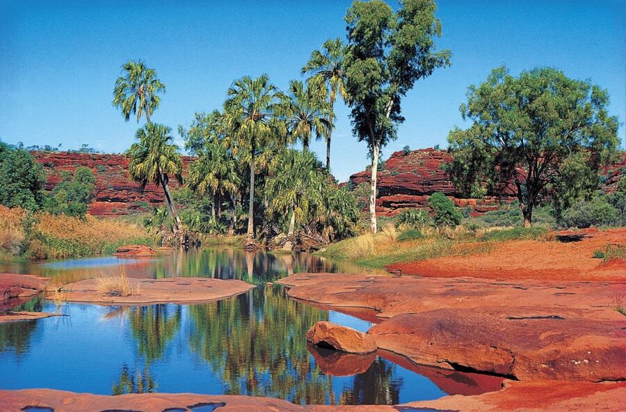 From Alice Springs: Palm Valley 4WD Outback Safari + Picnic - Morning tea and the road to Hermannsburg