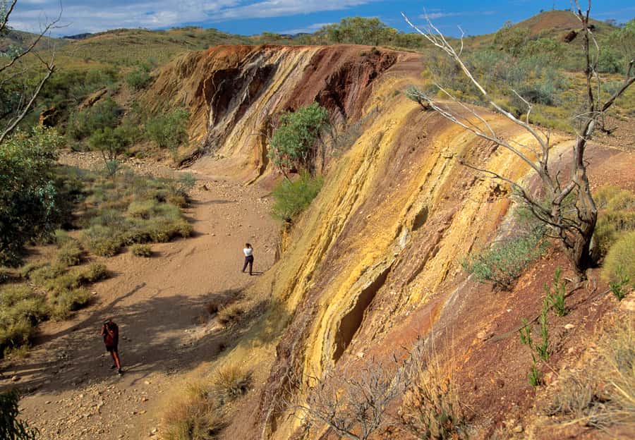 From Alice Springs: West MacDonnell Ranges Day Trip - Key points to know before you book